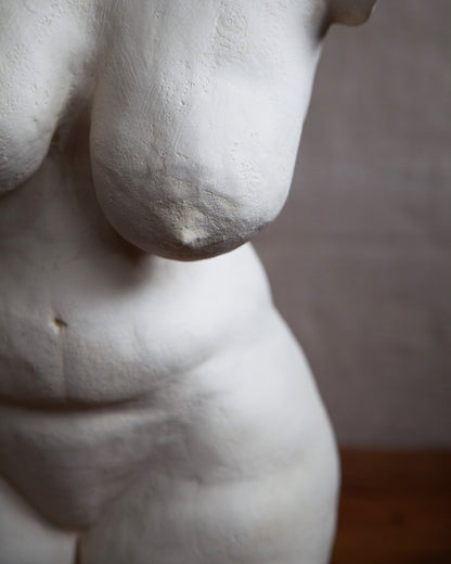 Copy of Female Torso #68 White Clay